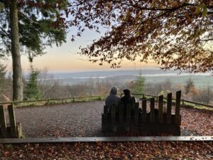 Mamhead Exeter, Haldon Forest